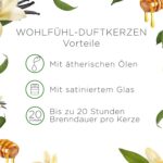 Air Wick Vanille und Honig im Glas